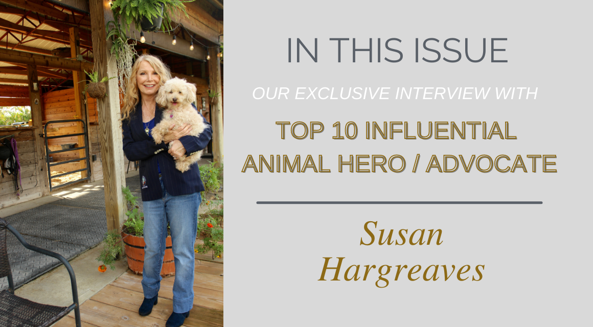 Exclusive Interview with Susan Hargreaves