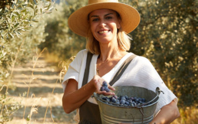 Chef Jale Balci To Launch New Book ‘Riches From Deep Roots: Olives & Olive Oil’