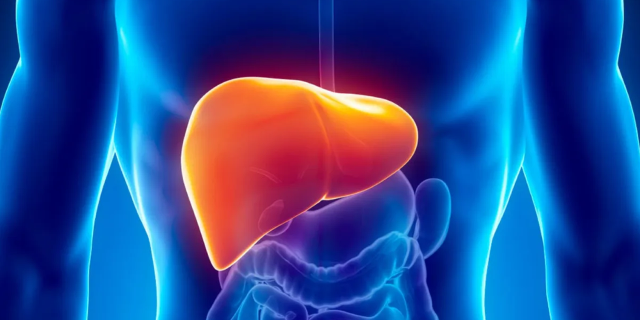 The Latest Treatment Developments in Liver Cancer Care