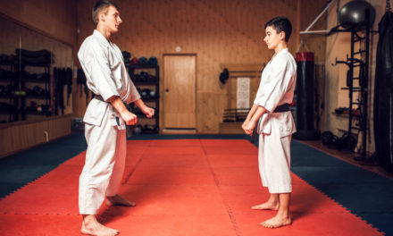 The Many Benefits of Martial Arts