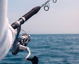 Evan Tynan Explores the Wellness Benefits of Fishing