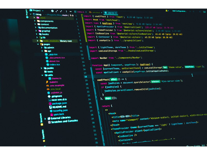 Understanding the Software Development Life Cycle