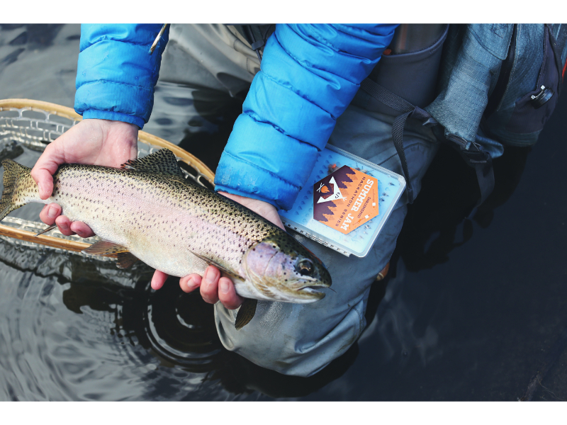 Trout fishing - tips from the pros
