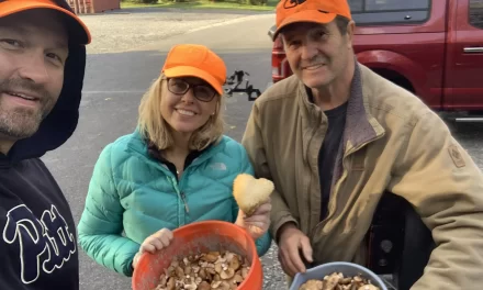 Maryann Misiolek on Taking Smart Risks in Property Rehab and Life