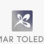 Tamar Toledano Advises Companies on Integrating AI